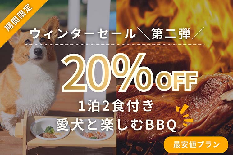 期間限定20％OFFクーポン