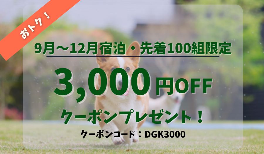 3000円オフクーポン