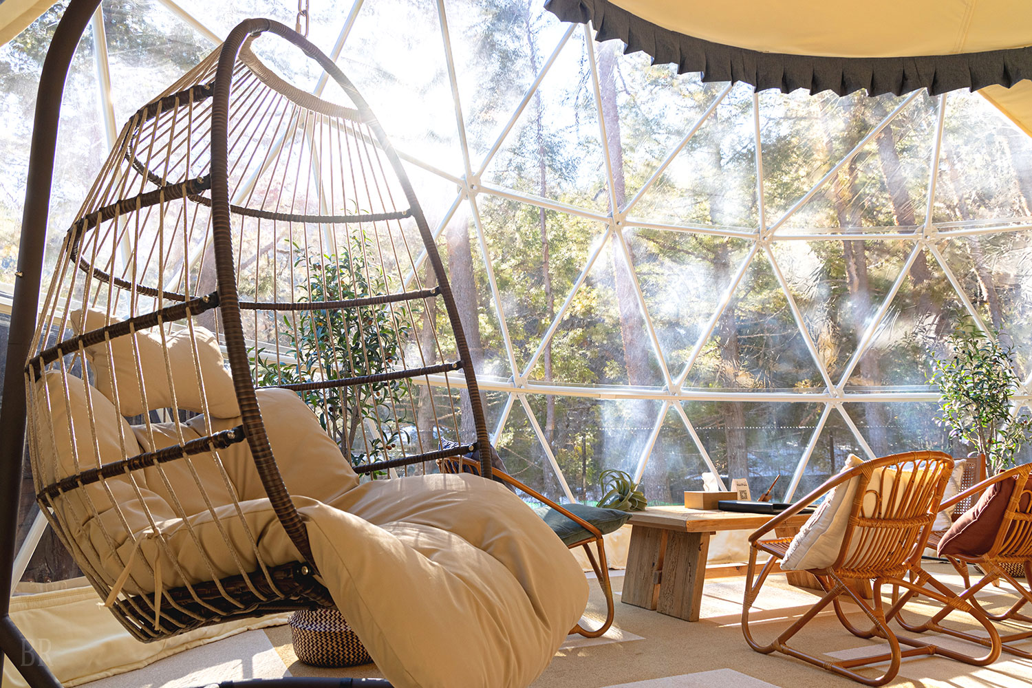 ドッググランピング河⼝湖