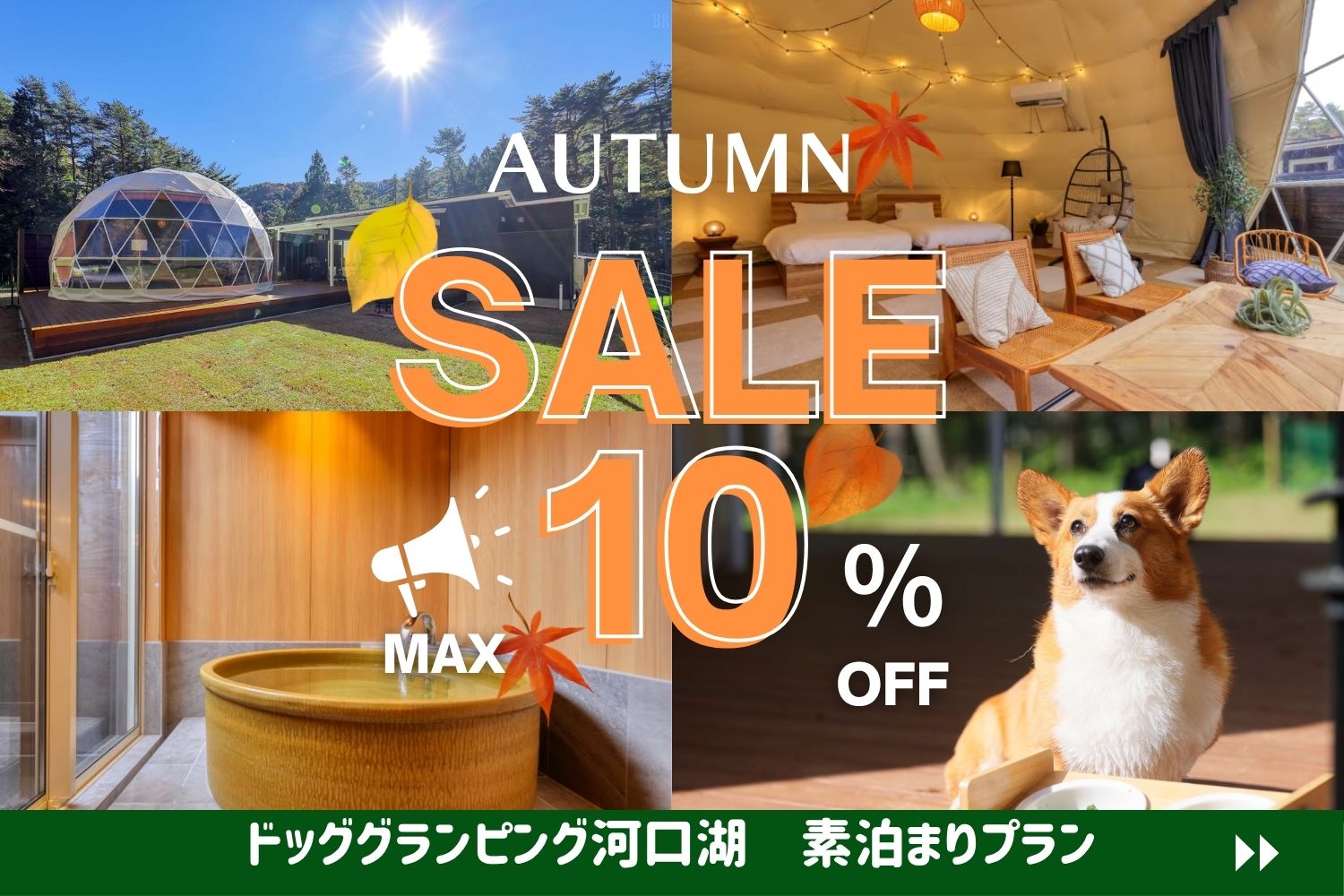 秋旅応援10％OFF